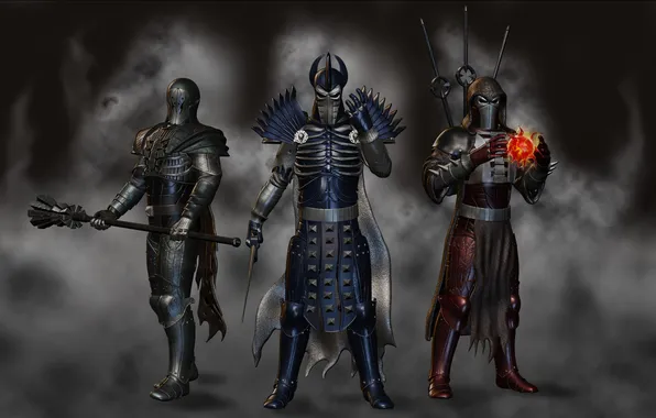 Picture armor, generals, fanart, The Witcher 3: Wild Hunt, wild hunt