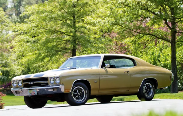 Chevrolet, Chevrolet, muscle car, muscle car, 1970, the front, 454, Chevelle