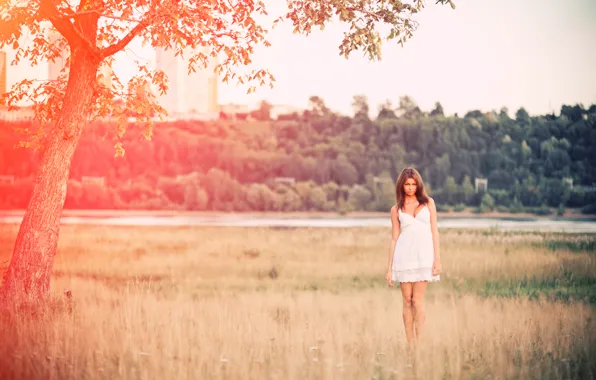 Field, grass, girl, dress