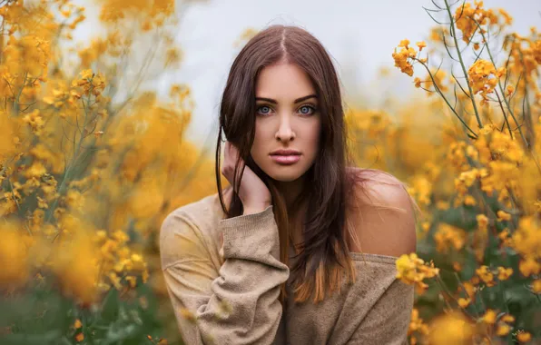 Picture brown hair, beauty, blue-eyed, yellow flowers, sensual lips
