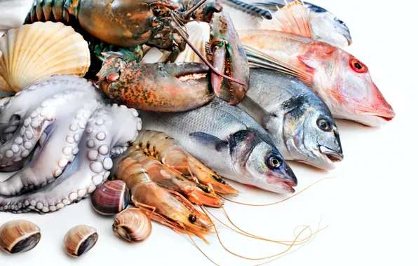 Fish, octopus, Omar, shrimp, seafood