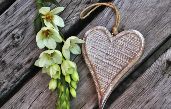 Flower, Holiday, heart, Valentine's day