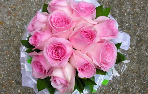Photo, Flowers, Pink, Bouquet, Roses