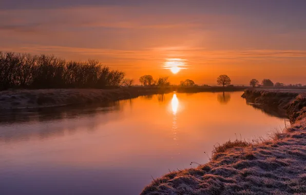 Picture the sun, sunset, river, dawn, shore, pond