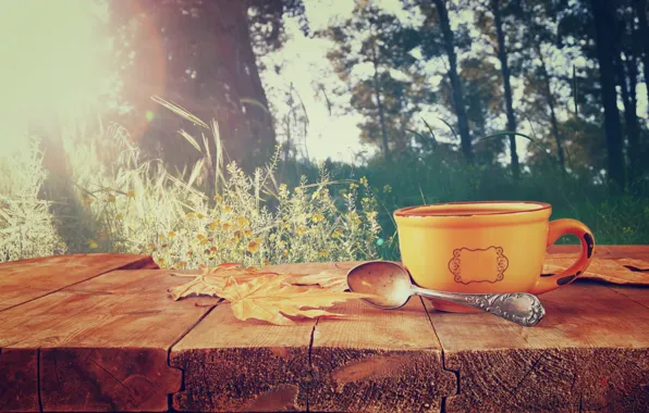 Autumn, leaves, coffee, Cup, hot, autumn, leaves, cup