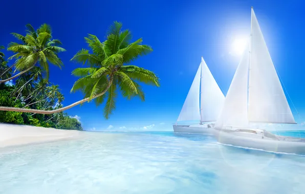 Picture sea, beach, tropics, palm trees, stay, beach, sea, sailboats