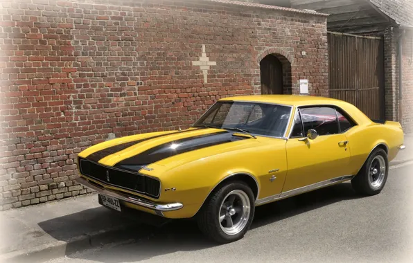 Picture camaro, 1967, chevy