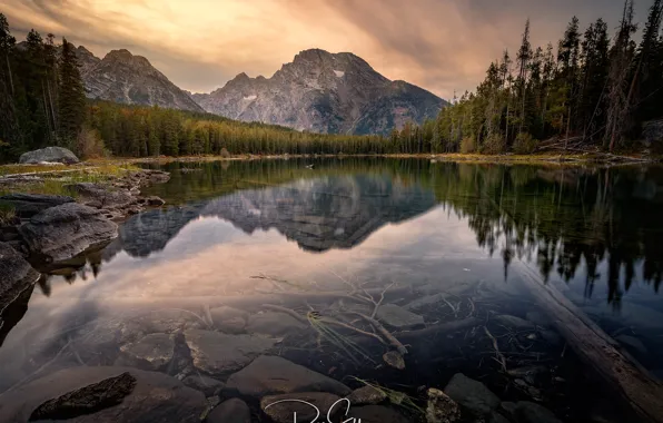Forest, trees, mountains, lake, stones, rocks, Grand Teton National Park, Leigh Lake