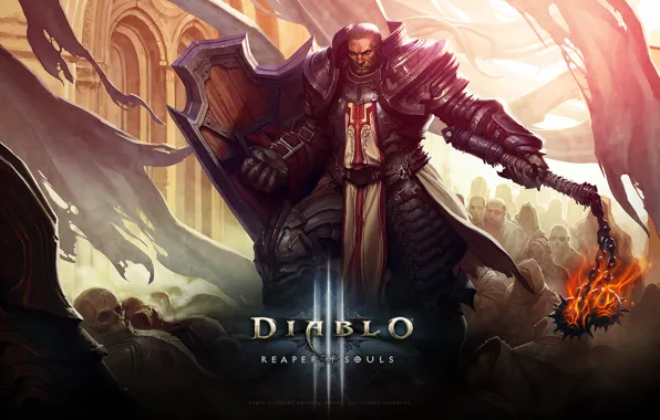 Picture Blizzard, Paladin, Knight, Diablo III, Game, Crusader, Reaper, Reaper of Souls