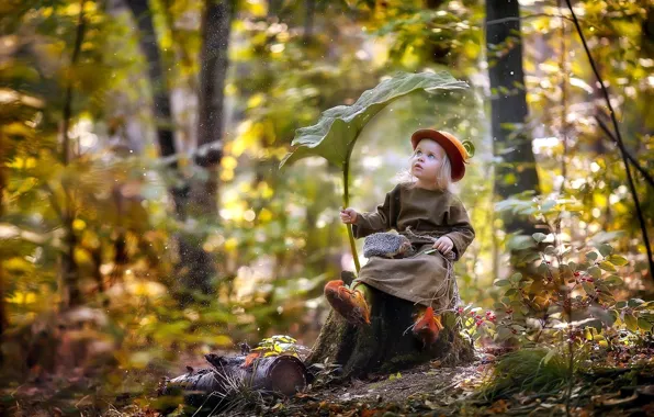 Forest, sheet, rain, child