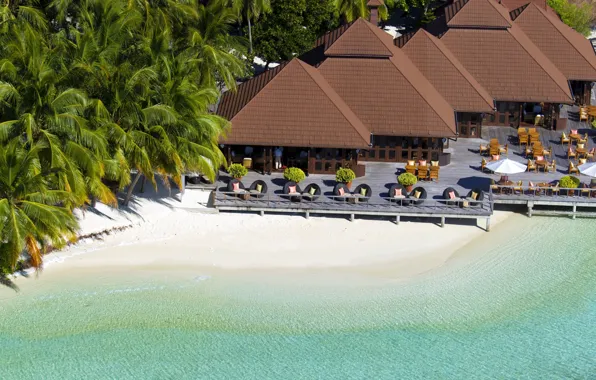 Picture sand, beach, palm trees, shore, island, the Maldives, Seychelles