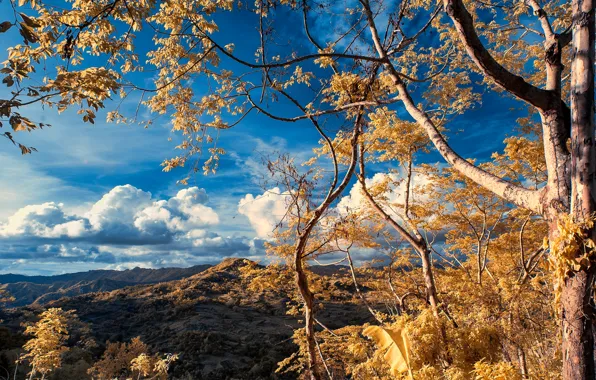 Picture autumn, the sky, clouds, mountains, tree