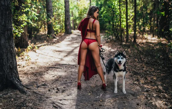 Forest, ass, trees, panties, dog, figure, dress, brunette