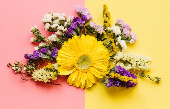 Flowers, spring, colorful, chrysanthemum, flowers, spring, composition, bright