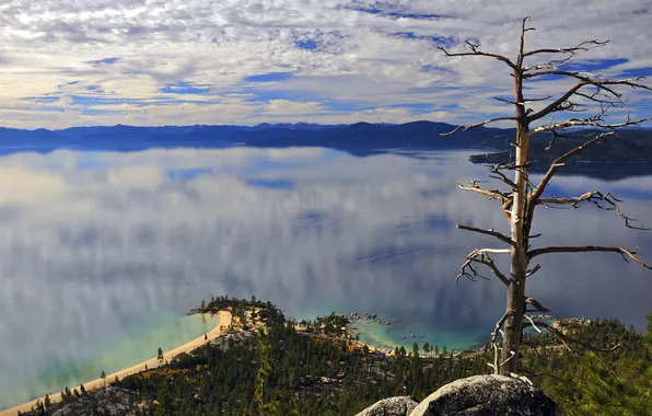 Picture the sky, clouds, lake, reflection, tree, horizon, Cape, Tahoe