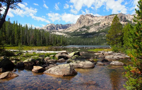 Picture forest, trees, mountains, lake, stones, rocks, USA, Imogene Lake