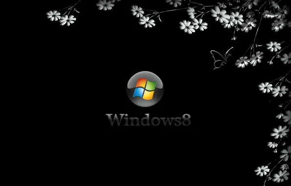 Picture BACKGROUND, BLACK, FLOWERS, WINDOWS 8