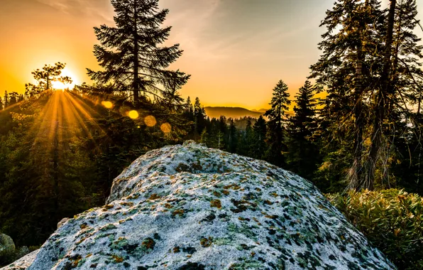 Picture the sun, rays, trees, sunset, mountains, stone