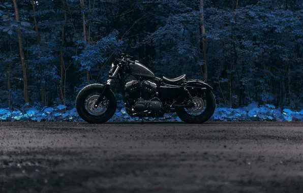 Picture road, forest, Harley Forty Eight