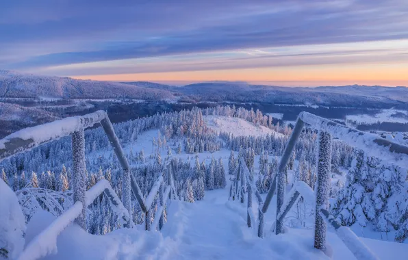 Winter, snow, trees, mountains, Germany, ate, ladder, Germany