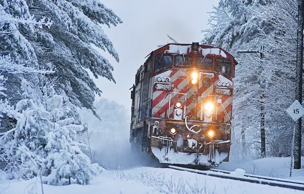 Winter, forest, snow, trees, train, locomotive