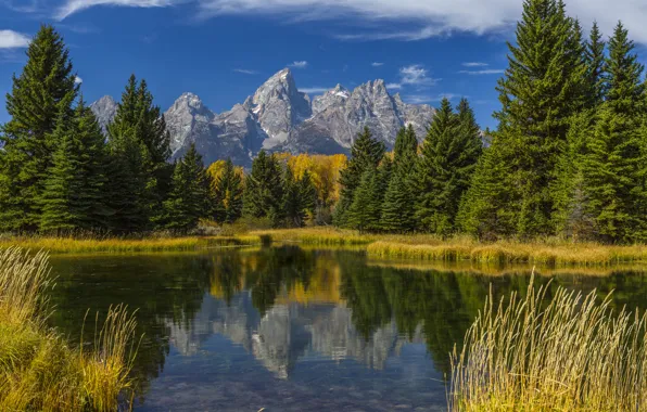 Autumn, forest, grass, trees, mountains, lake, reflection, USA