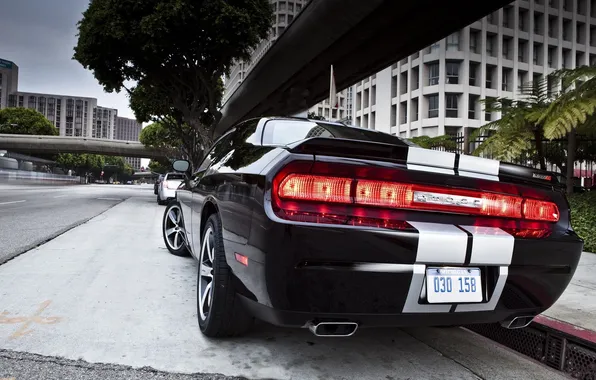 Picture road, lights, headlight, Dodge, Challenger