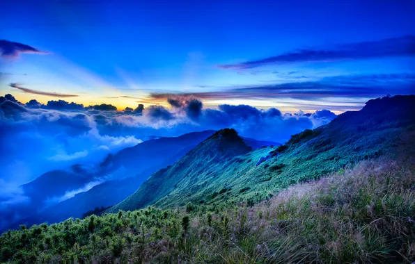 Forest, the sky, clouds, sunset, mountains