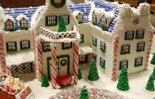 Winter, mood, holiday, tree, new year, food, Christmas, house