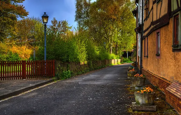 Picture road, street, lantern