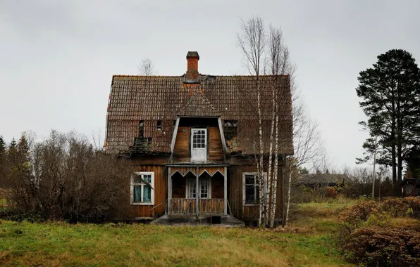 Picture field, nature, house