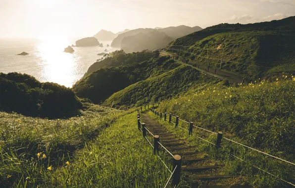 Picture sea, grass, the sun, mountains, hills, ladder, steps