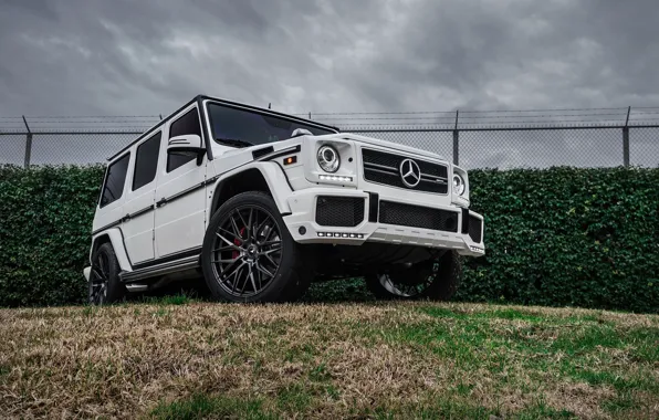 Picture Mercedes, Benz, G63, The dealership, Boden