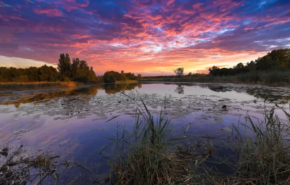 Summer, the sky, water, landscape, sunset, nature, lake, reflection