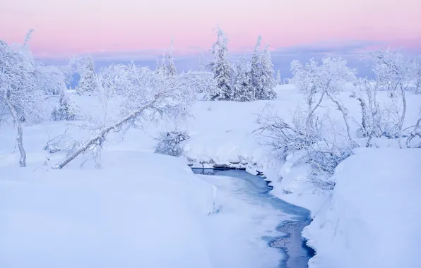 Winter, snow, trees, stream