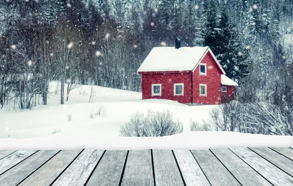 Winter, snow, trees, landscape, river, tree, house, house