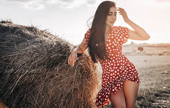 Field, summer, girl, pose, dress, long hair, Marina, Anton Kharisov