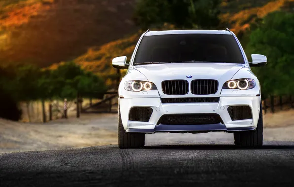 Picture BMW, white, wheels, tuning, front, X5M