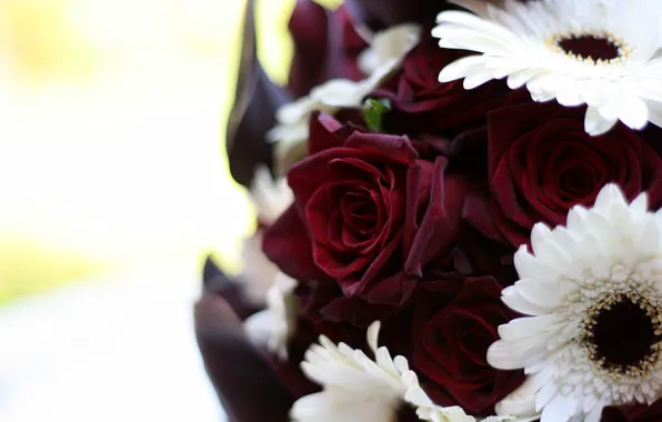 Picture white, macro, flowers, roses, bouquet, gerbera, Burgundy