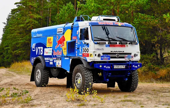 Nature, Forest, Sport, Truck, Race, Master, Russia, 300