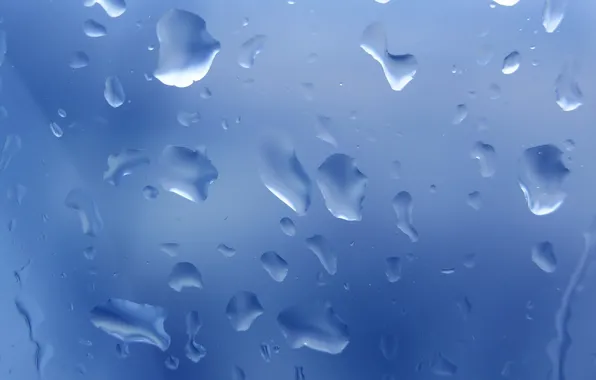 Drops, wet, blue garbage