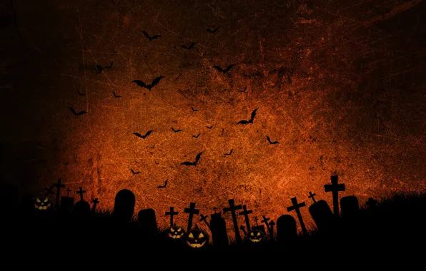 Night, Pumpkin, Halloween, Halloween, Cemetery, Graves, Bats