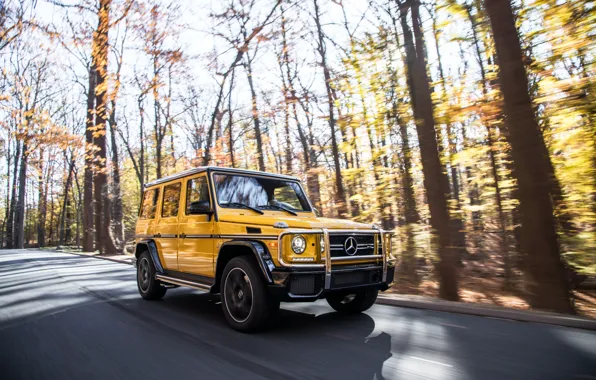 Autumn, Mercedes-Benz, speed, AMG, G-Class, Gelandewagen, G63, 2017