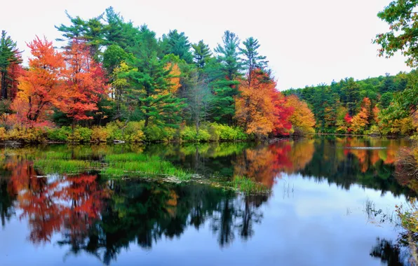 Autumn, forest, the sky, water, trees, lake, reflection, river
