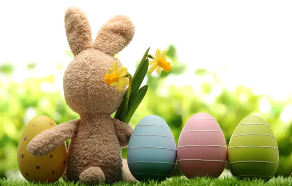 Grass, flowers, nature, holiday, toy, hare, eggs, spring