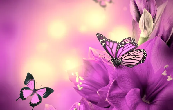 Butterfly, flowers, flowers, purple, butterflies
