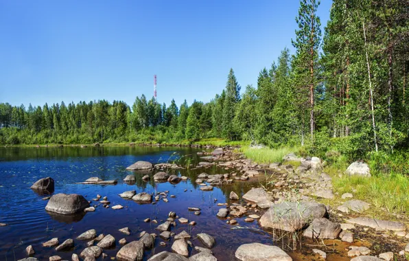 Picture summer, grass, water, river, stones, tower, dibr