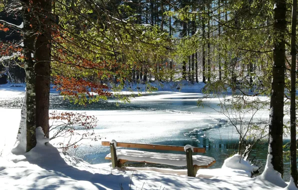 Cold, winter, snow, trees, bench, river, romantic