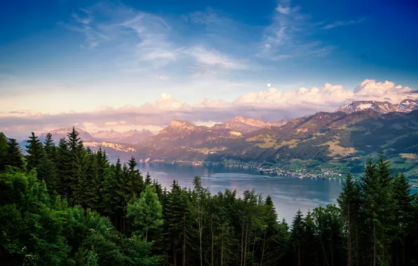 Forest, mountains, nature, lake, Switzerland, Lake Zurich
