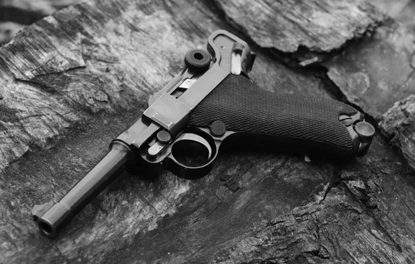 Macro, Gun, 1920, Luger, The German Empire